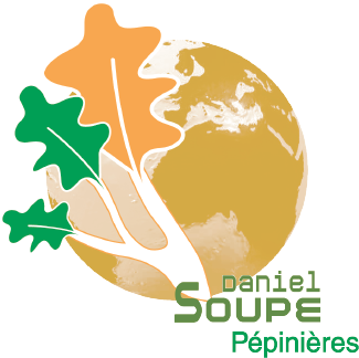 Logo Soupe